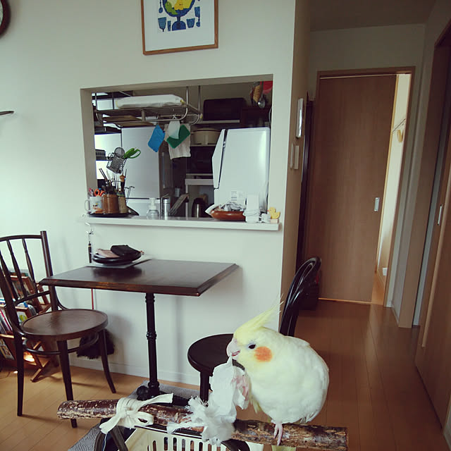 pontaさんの実例写真