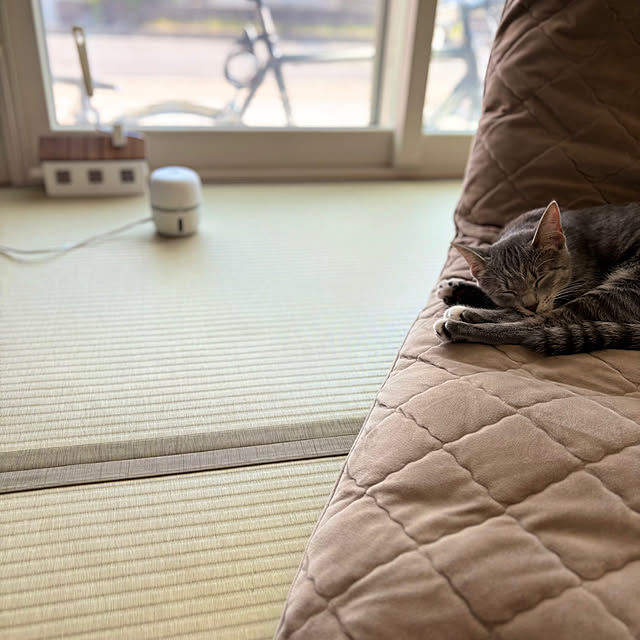 namiさんの実例写真