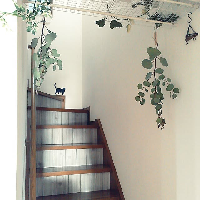 god__flowerさんの実例写真