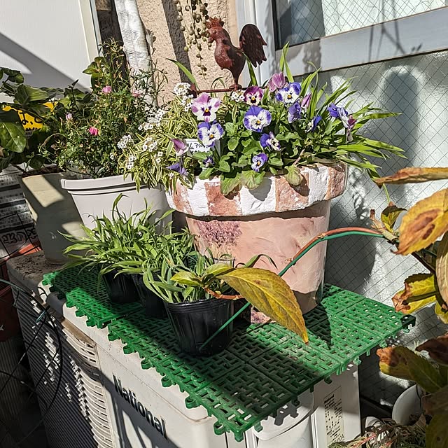 toramamaさんの部屋