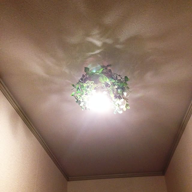daxs31さんの実例写真