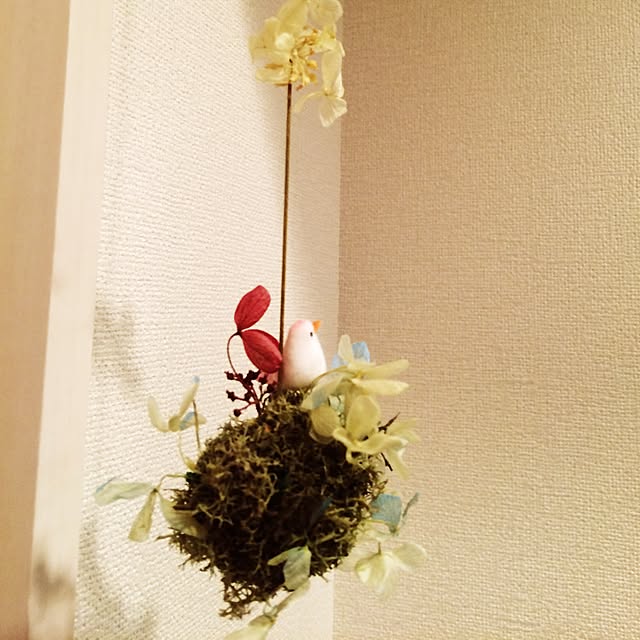 hayusaさんの実例写真