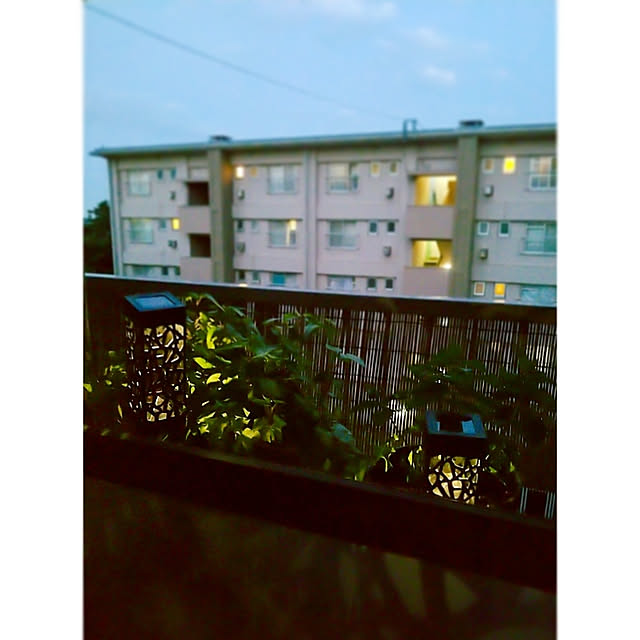 waniwaniさんの実例写真