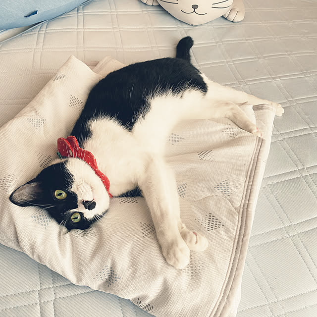 moolさんの実例写真