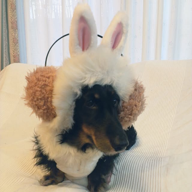 marorinさんの実例写真