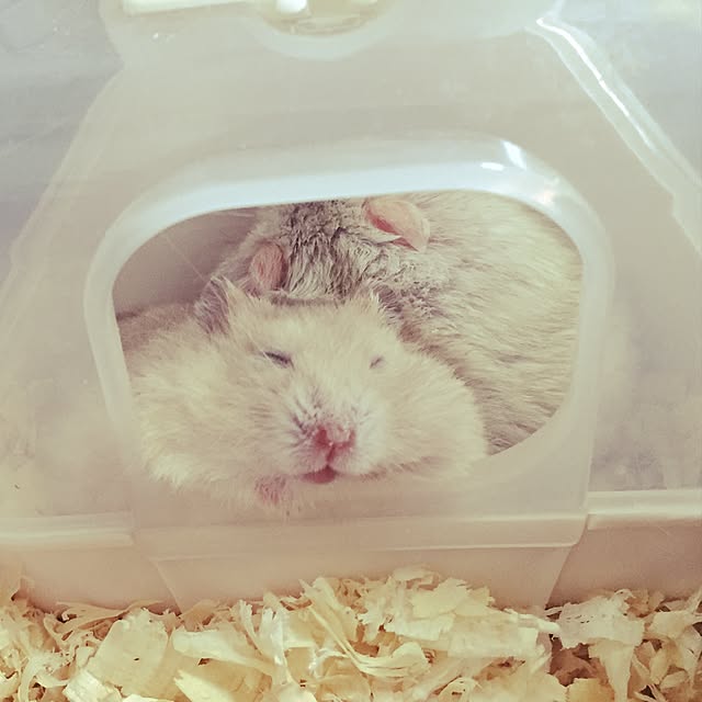 manaさんの実例写真