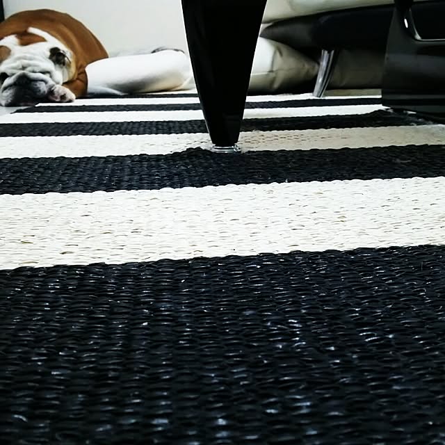 panchobiさんの実例写真