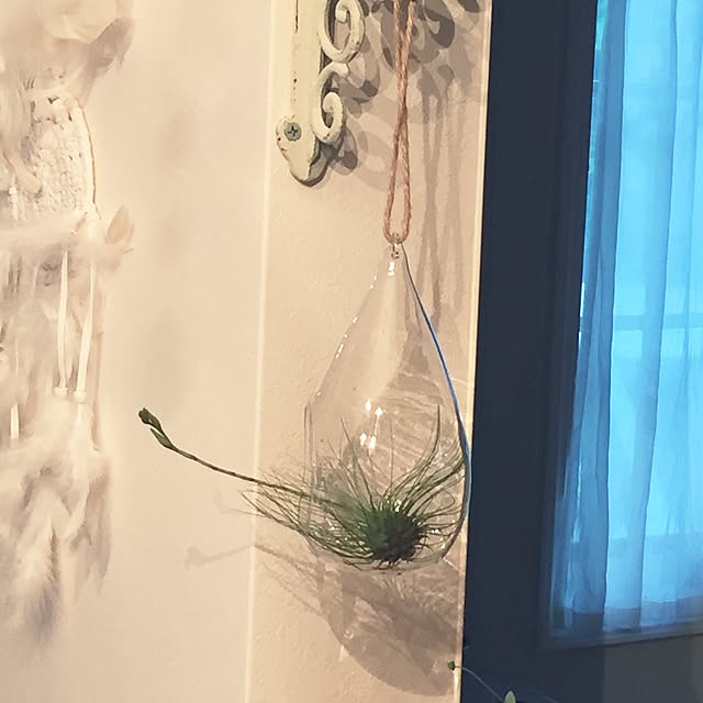 angeさんの実例写真