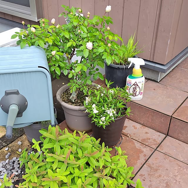 mutsuさんの部屋