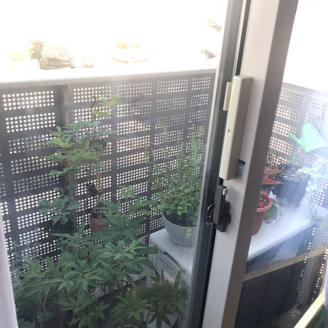 pdさんの実例写真