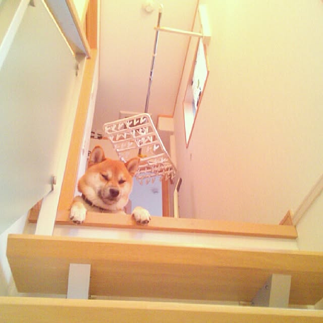 kotaさんの実例写真