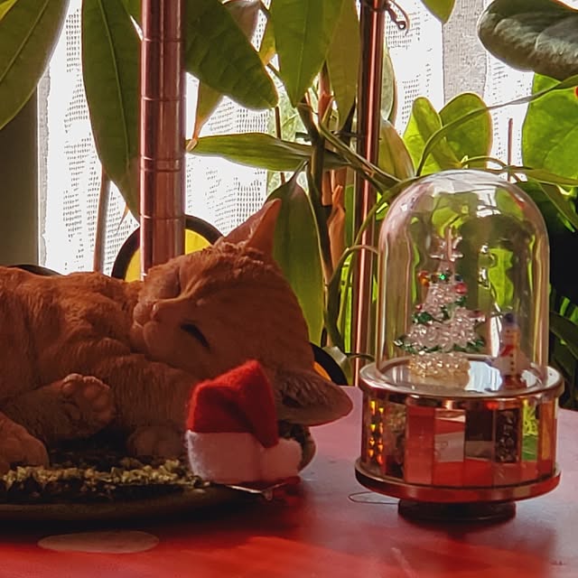 kumutanさんの部屋