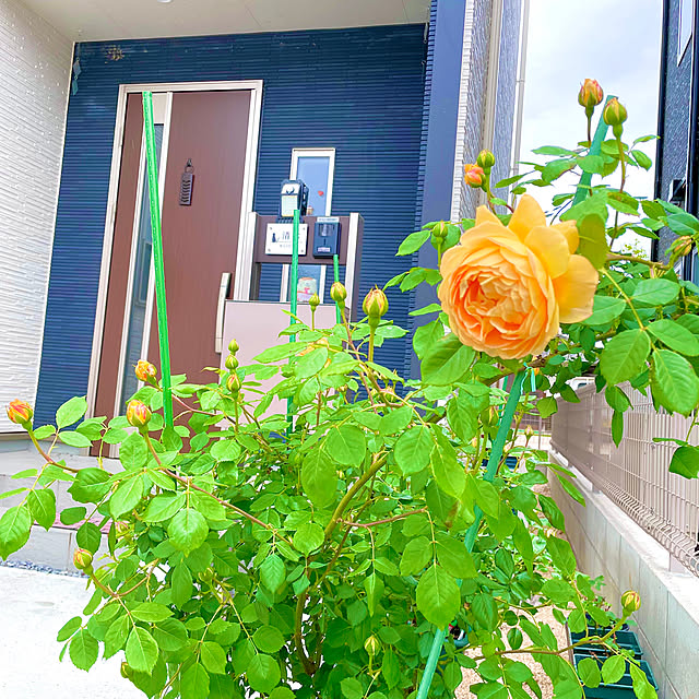Risaさんの部屋