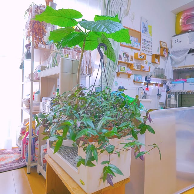 mariaさんの実例写真