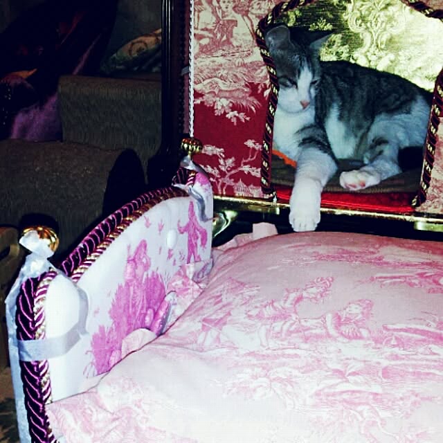 emmyyさんの実例写真