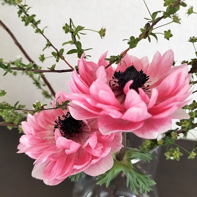 aoiroさんの部屋