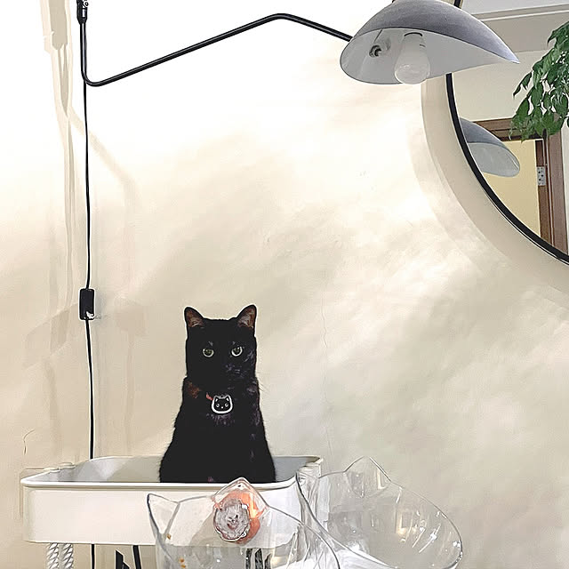 KANJAMさんの実例写真