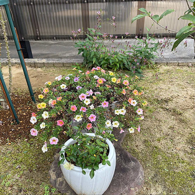 kakoさんの実例写真