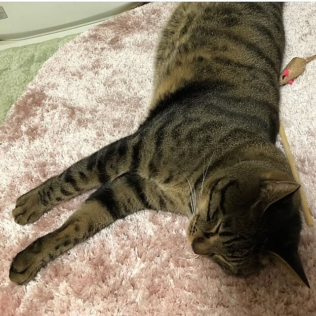 mori_6_12さんの実例写真