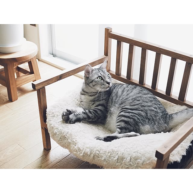 ineko_kさんの実例写真
