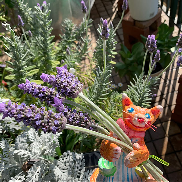 Aqettyさんの実例写真