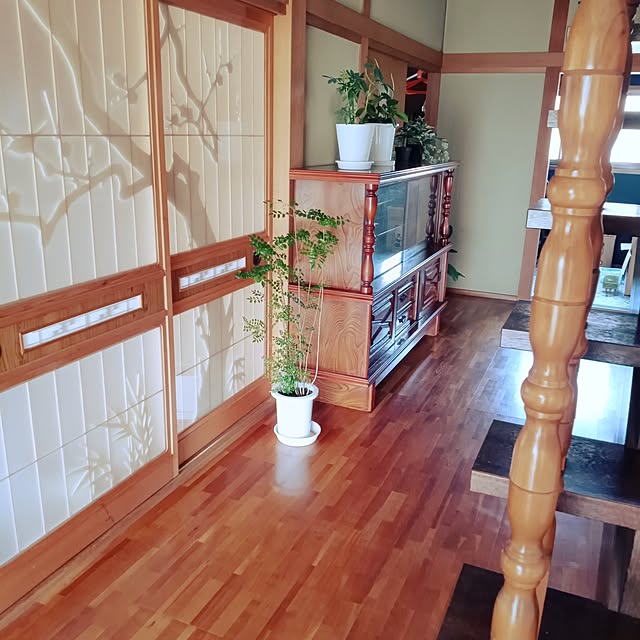 ruantaiさんの実例写真