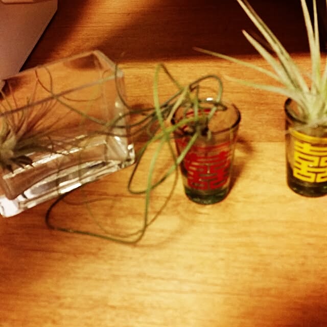 jukkayukaさんの実例写真