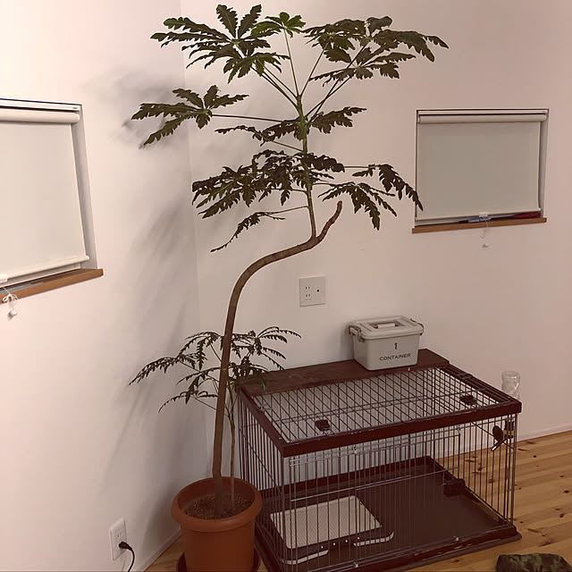 hihoさんの実例写真