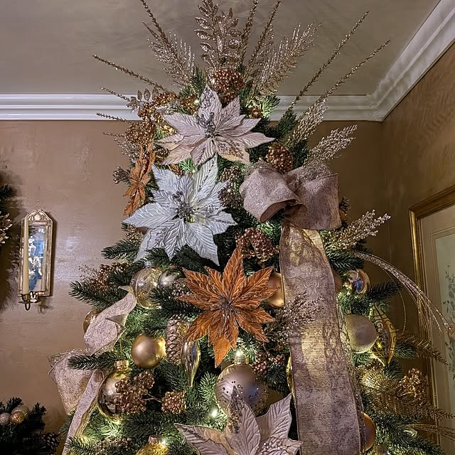 ryo4456さんの部屋