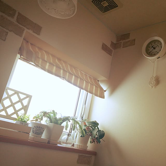 sachi0416さんの実例写真