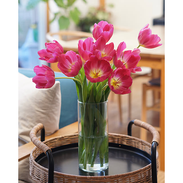 noriflowerさんの部屋