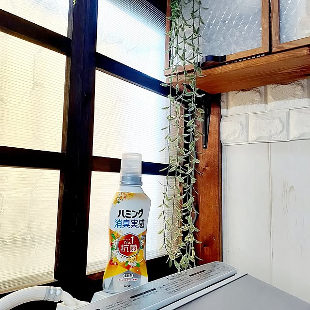 naoporonさんの部屋