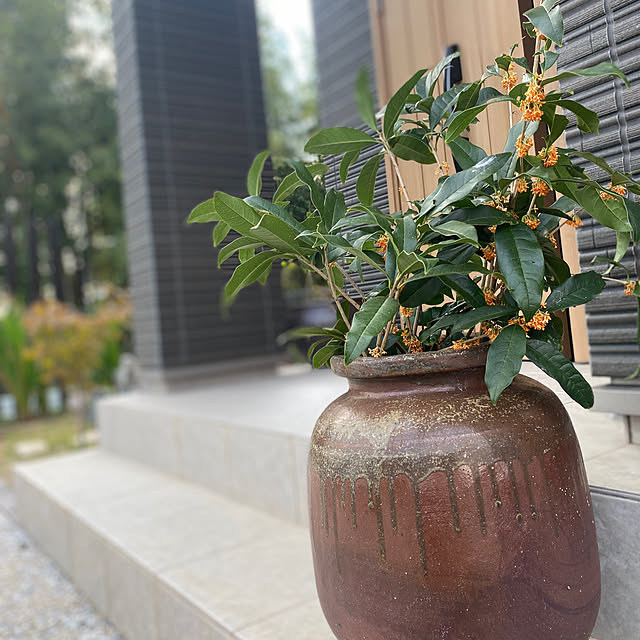 kotaroさんの実例写真