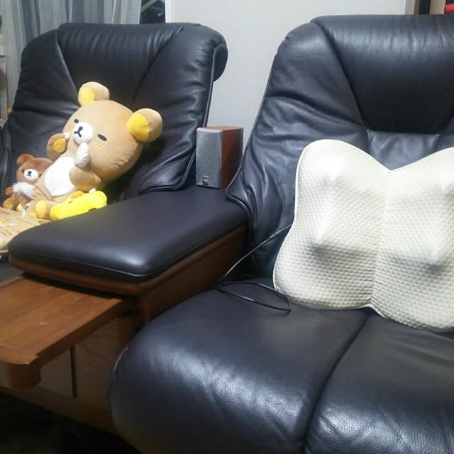 korilakkumausagiさんの実例写真