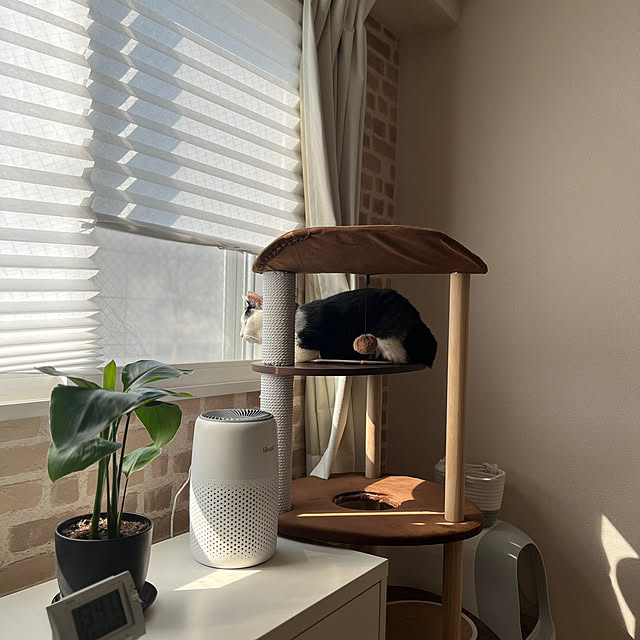 棚/一人暮らし/シンプルな部屋が好き/かめらまーく消し/コメントお構いなく(〃_ _)♡...などのインテリア実例 - 2024-03-14 13:43:07