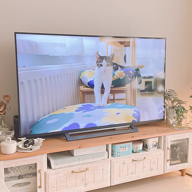 akiko-ovさんの部屋