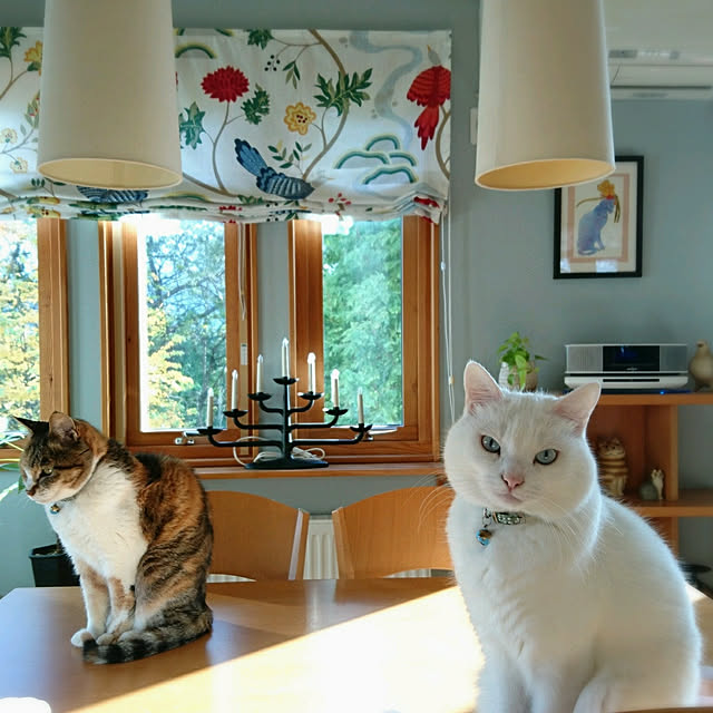 mimiさんの実例写真