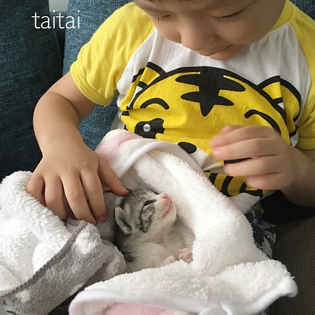 taitaiさんの実例写真