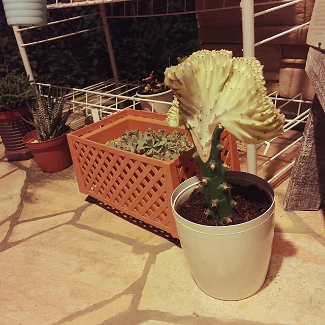 takayukiさんの実例写真