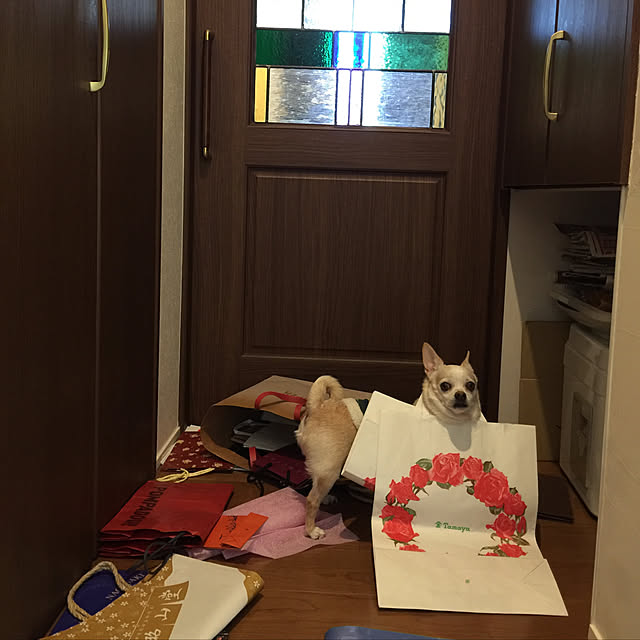 Mayumiさんの実例写真