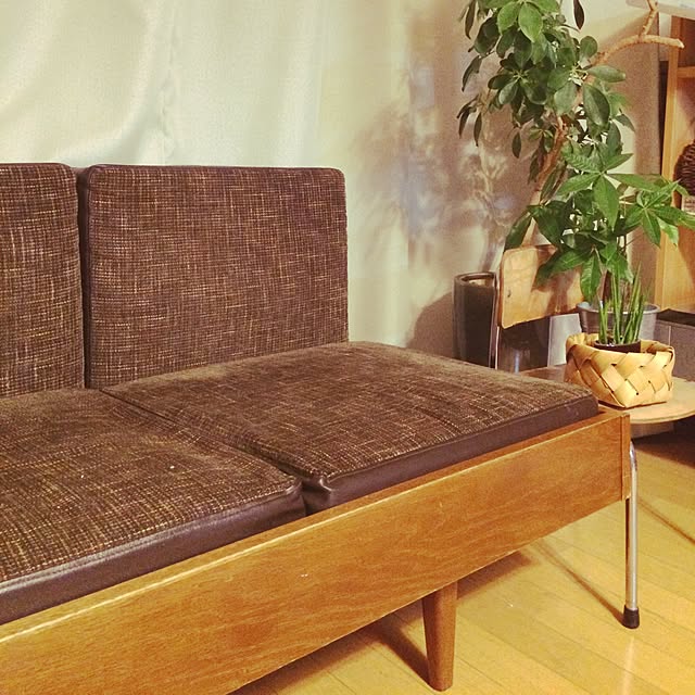 cohさんの実例写真