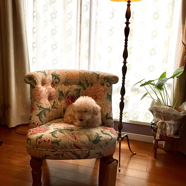 okarinさんの実例写真