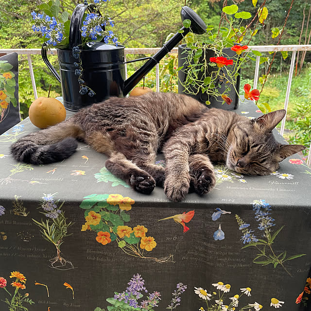 weさんの実例写真