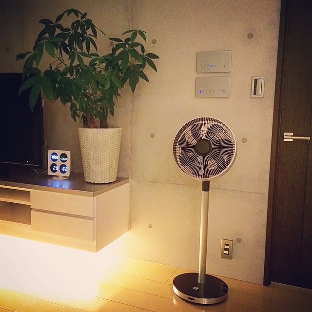 Sallyさんの実例写真