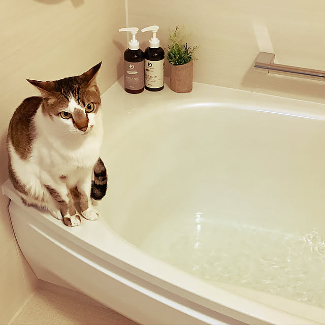 haruminさんの実例写真