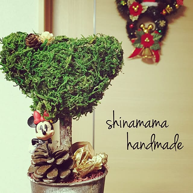 shinapuuさんの実例写真