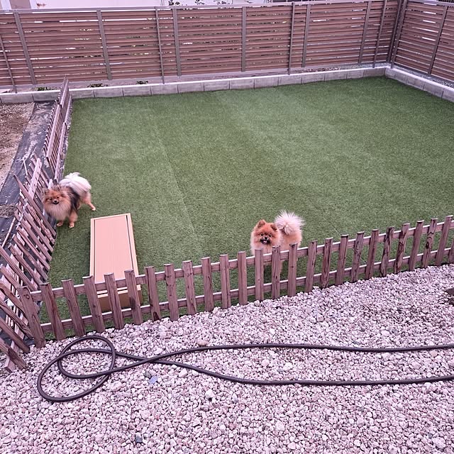 avovo7さんの部屋