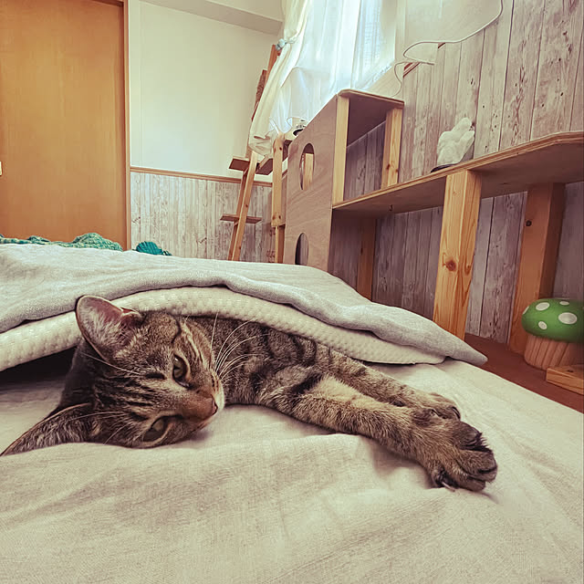 Mさんの実例写真