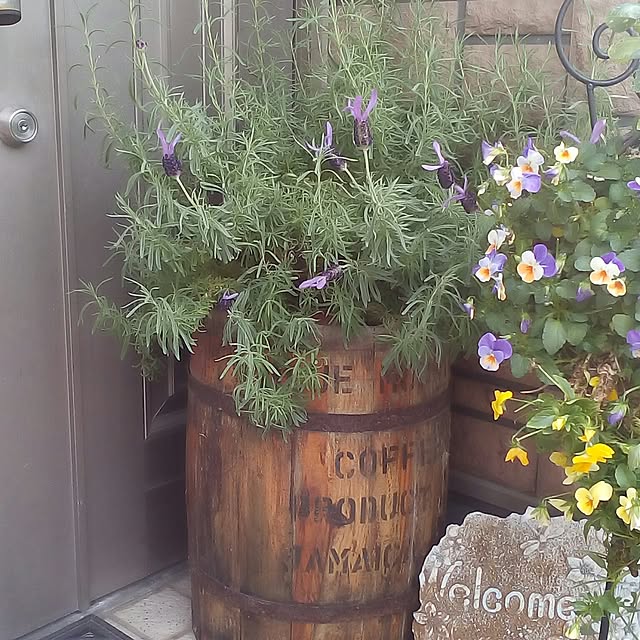 mariagardenさんの実例写真