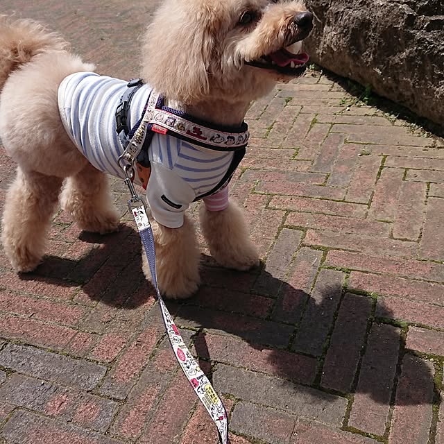 hopkeiさんの部屋